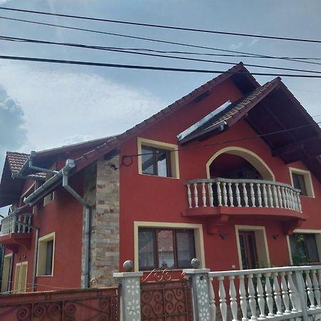 Serena House Cîrţişoara Exterior foto
